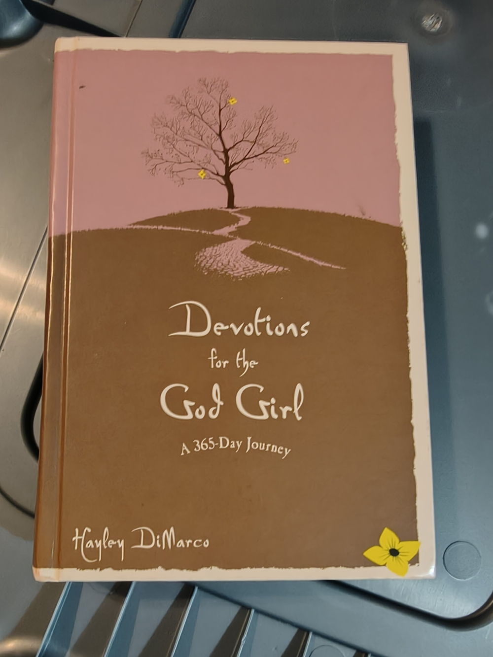 Hayley DiMarco Devotions for the God Girl - Pink and Brown Wall Art
